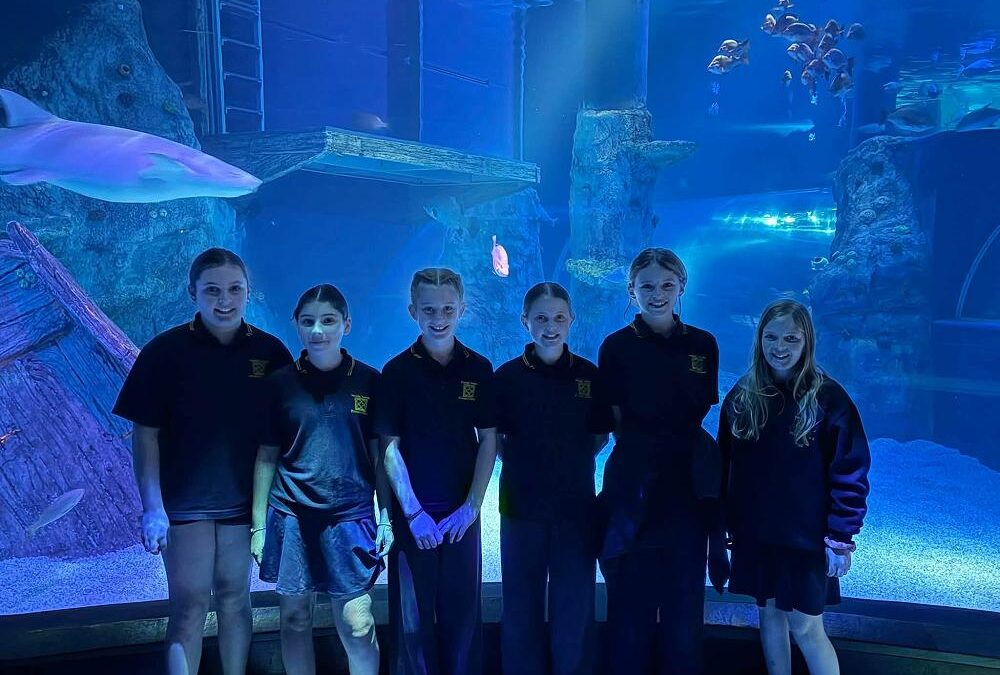 Woady Yaloak Primary School Term 4, Week 4 Newsletter – 27.10.2026